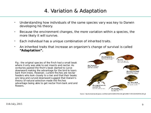 Variations and Adaptations