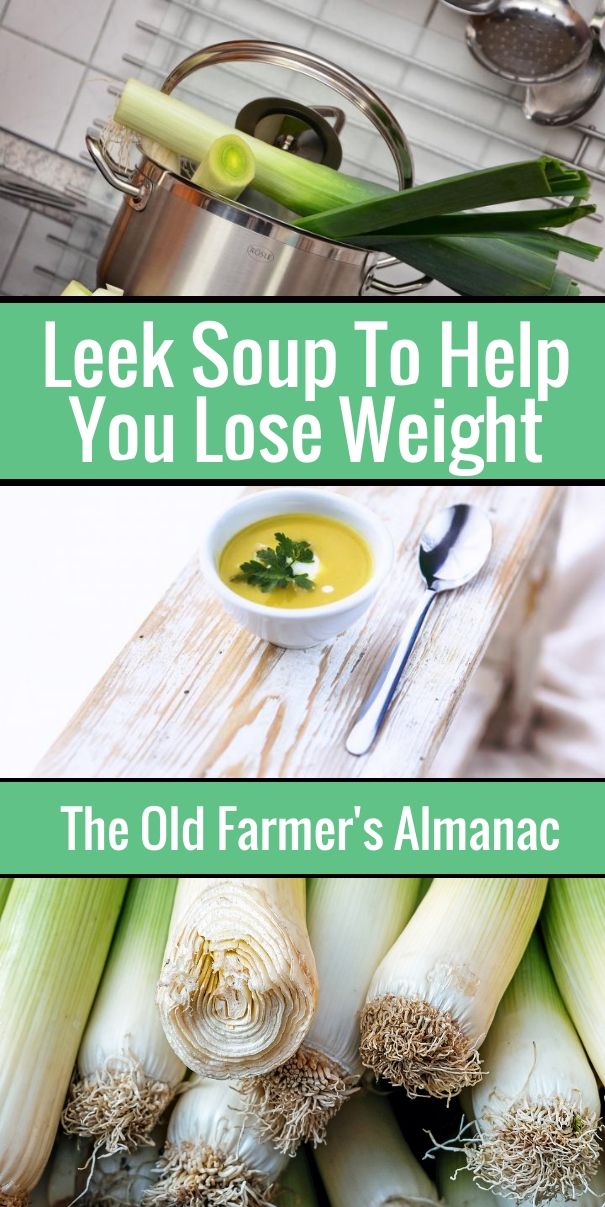 Does Leek Soup Help Lose Weight?