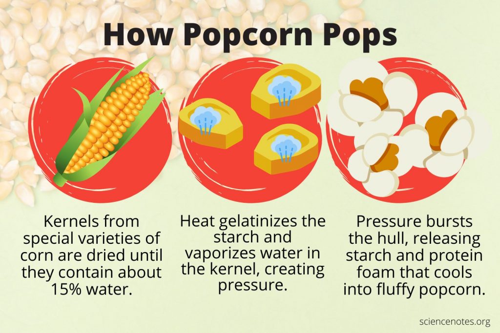 The Science of Popcorn Popping